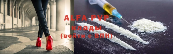 индика Нея