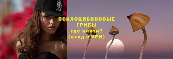 мет Инта