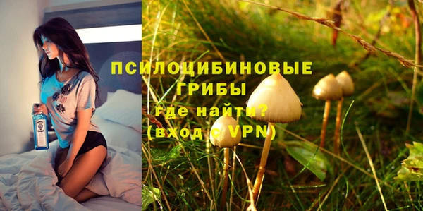индика Нея
