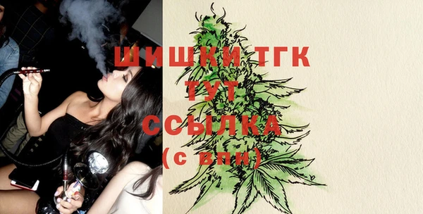 индика Нея