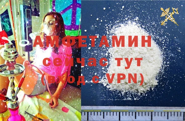 индика Нея