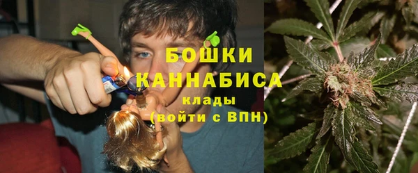 не бодяженный Иннополис