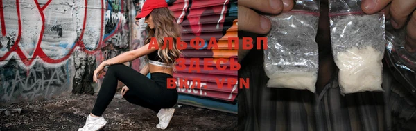 индика Нея
